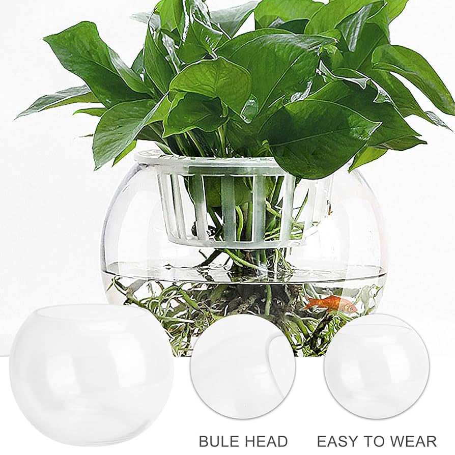 テラグラス6030　水槽　テラリウム　ガラス製　植物　アクア　メダカ　貴重　新品 Amazon | クリエイティブなデスクトップガラス水槽、金魚鉢 水槽